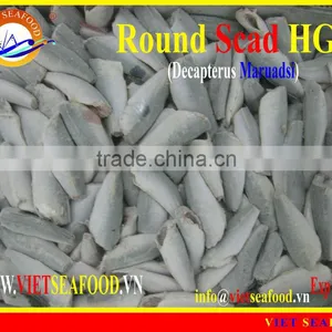 FROZEN ROUND SCAD HGT thumbnail-1