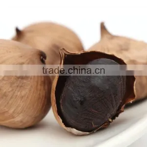 Zhengzhou Product Peeled Solo Black Garlic Packed With Organic Certificate thumbnail-3