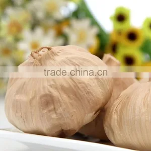 Many Heads Black Garlic P.E.--HC Company thumbnail-5