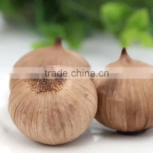 The New Cooking Ingredient for Dinner--Royal Solo BlackGarlic thumbnail-2