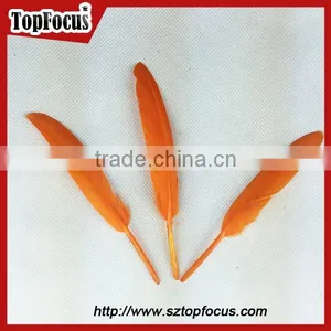 Best Selling High Quality Dyed Material Goose Feather Price Trim thumbnail-6