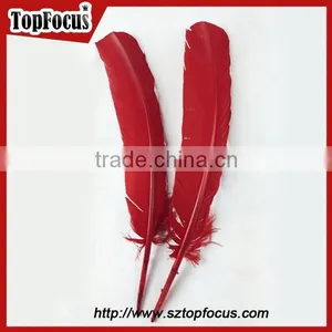 Factory Prices Wholesale Prime Quality Dyed Turkey Wing Feather thumbnail-2