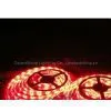 5050 LED Strip Lights thumbnail-1