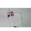 Clear Float Glass thumbnail-1