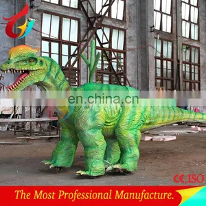 Playground Equipment Dinosaur Ride for Child thumbnail-4