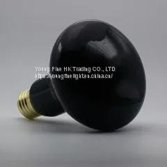 Reptile Moonlight Black Light Bulb R30 / R95 150W thumbnail-1