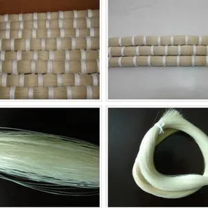 Hebei Zhichen Trading Co., Ltd. company overview - view 1 thumbnail