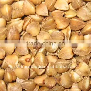 Organic Roasted Buckwheat thumbnail-1