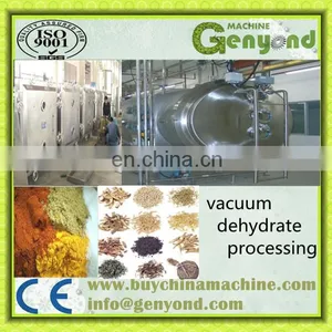 Fruit and Vegetable Vacuum Chips Processing Line thumbnail-2