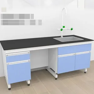 Laboratory Workbench Central Workbench Steel-Wood Laboratory Bench Test Bench Laboratory Side Bench Chemistry Desk thumbnail-2