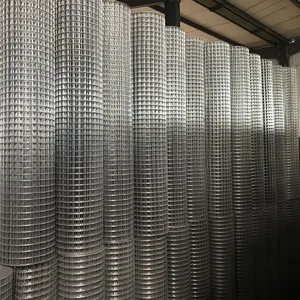 Galvanized+PVC Coated Welded Wire Mesh Rolls - Square Hole Design thumbnail-3