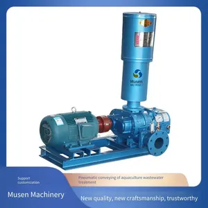 Model Parameters of Roots Blowers, Musen. Committed to Air Power System Transportation, Sewage Aeration, and Biogas Transportation thumbnail-4