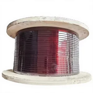 600V Rated Voltage Flat Solid Copper Enameled Wire Coil With IP67 Protection for Transformers & Motors thumbnail-1