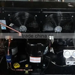 Open and Scroll Type Copeland Cooling Unit for Sale thumbnail-2