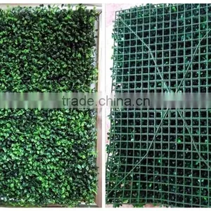 High Quality Artificial Boxwood Mat/ Hedge for Decoration Wall thumbnail-5