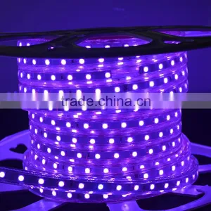 Waterproof SMD 5050 High Voltage 110V 220V 60 Led per Mtr Wedding Decoration Rgb Thin Flexible Led Rope Strip Light Outdoor Use thumbnail-1