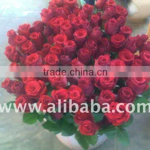 Cut Rose thumbnail-1