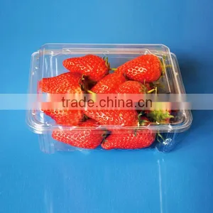 Plastic Transparent Box 1pound Strawberry Packaging Container thumbnail-1