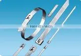 Hot Sale Stainless Steel Cable Tie (ladder Type ) 12*600 thumbnail-3
