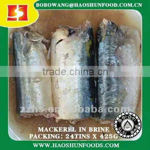 Canned Mackerel Fish Pass SLSI Testing thumbnail-1
