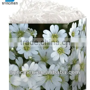 Natural Design Gift Bag, Paper Gift Bag thumbnail-4