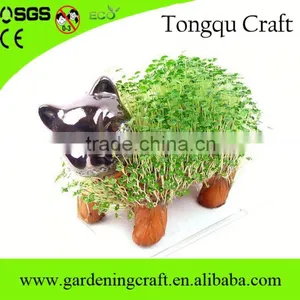 Pormo Gifts Usb Chia Pet Gifts for Newly Married Couple Wedding Thank You Gifts for Guests thumbnail-6