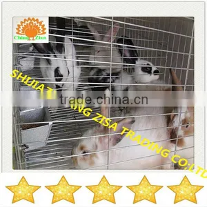 3tiersx4cells Automatic Rabbit Cage Farming Equipment thumbnail-1