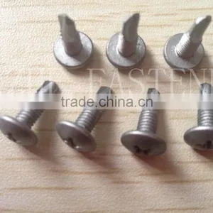 HDG Self Drilling Screws thumbnail-1