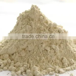 Manufacturer Supply 100% Pure Natural Raw Ginger Powder Raw Ginger Root Powder thumbnail-1