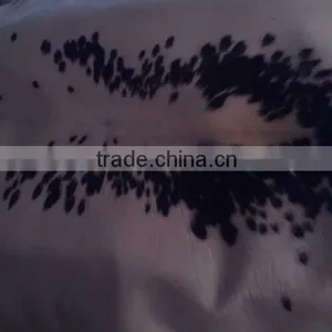 Cow Hair ON/Cow Skin With Hair thumbnail-3