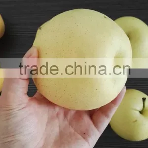 Fruits South Africa Pear Fruit thumbnail-1