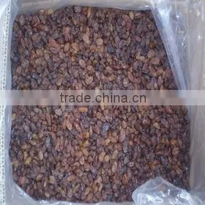 China Dried Sultana Raisin thumbnail-2