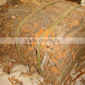 Cassia Whole thumbnail-1