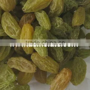 China Suppliers Best Price Green Raisin thumbnail-1