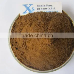 Natural Rosemary Extract 30% Carnosic Acid/Rosemary Extract Powder/Rosemary Powder thumbnail-1