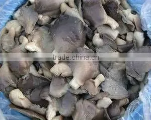 Salted Oyster Mushroom in Brine thumbnail-1