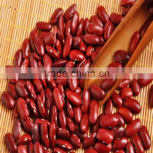 JSX Cooking British Red Kidney Bean Round Shape Food Grade Red Kidney Bean thumbnail-5