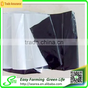 Black and White PE Biodegradable Mulch Plastic Film for Agriculture thumbnail-1