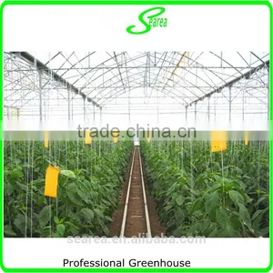 100x8m Agricultural Plastic Tunnel Greenhouse for Sale thumbnail-2