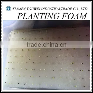 Colored Round Floral Foam Supplies For Sale thumbnail-1