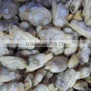 Frozen Boiled Clam Meat for Vietnam Making Seafood Mix thumbnail-1