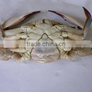 Quality Frozen Crab Prices thumbnail-1