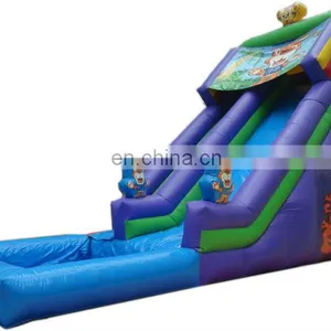 Hot Sell Inflatable Water Slide With Pool thumbnail-1