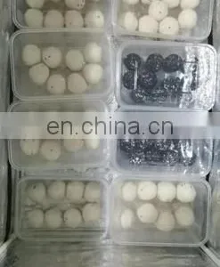 Yummy Street Snack Fried Food Vietnamese Sesame Ball Encrusting Machine for Sale thumbnail-4