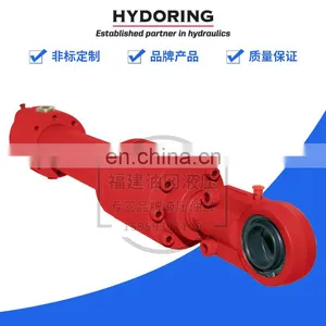 Germany HYDORING Cylinder HHD6510PK63/36-215-a+b-100 Servo Cylinder With Valve thumbnail-2