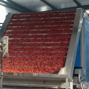 Candied Fruit Vegetable Processing Line Candied Prune Apricot Peach Kumquat Making Machine thumbnail-2