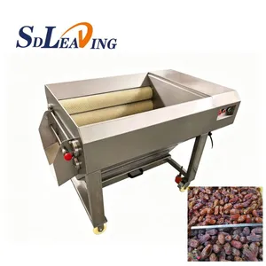 2026 New Design Palm Dates Brush Polishing Cleaning Machine Automatic Industrial Date Palm Dry Cleaning and Polishing Equipment thumbnail-5