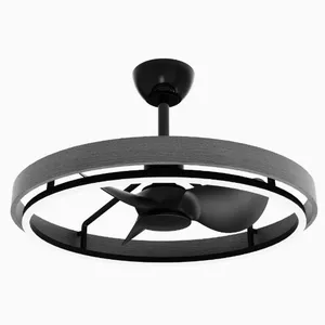 Ceiling Fan Light/variable Frequency Bedroom Fan Light（Wechat:13510231336） thumbnail-1