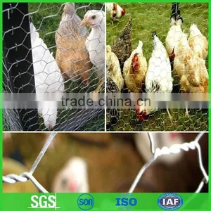 Hexagonal Wire Mesh Factory/galvanized Poultry Wire Netting Quality Choice thumbnail-1
