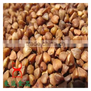 Roasted Buckwheat Organice Grains Wholesale thumbnail-2